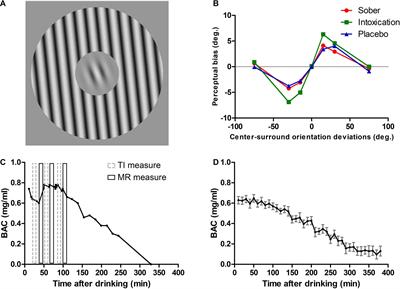 Moderate Alcohol Intake Changes Visual Perception by Enhancing V1 Inhibitory Surround Interactions